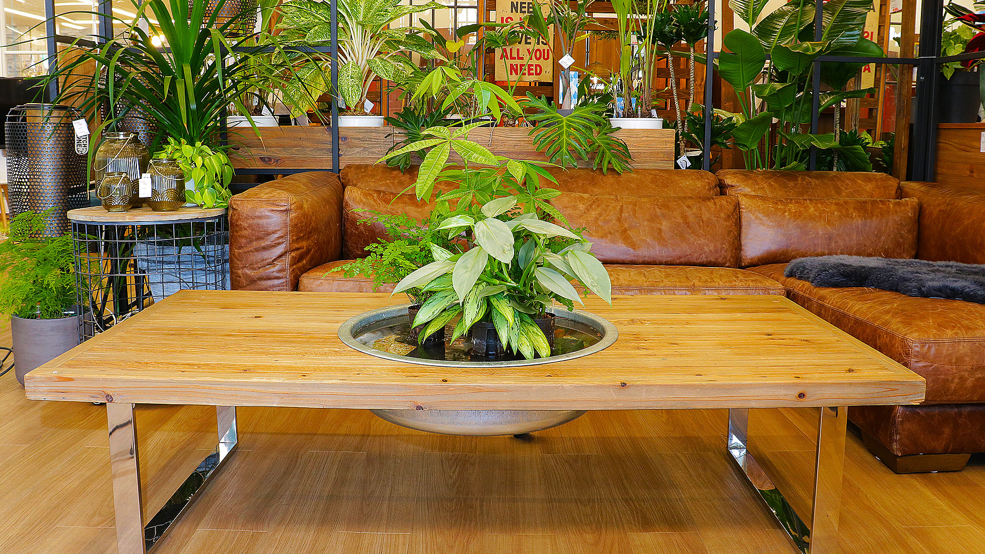 一度観葉植物を枯らした経験のある人にお勧めハイドロカルチャー マイサカ家具