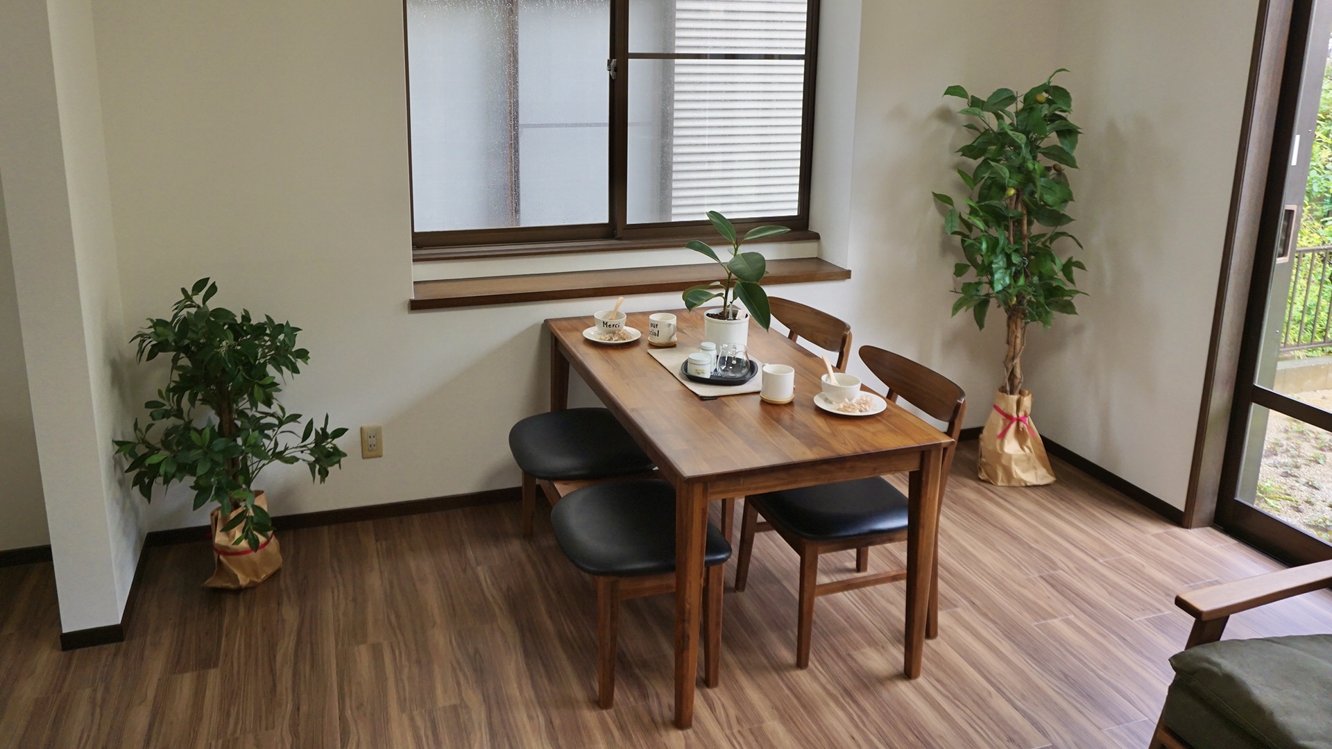 愛知県豊橋市飯村のリノベ一軒家のハウスプランツ、観葉植物とダイニングテーブル